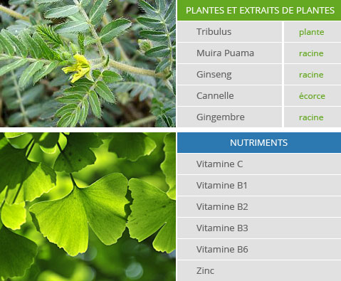 Les gelules maleperf